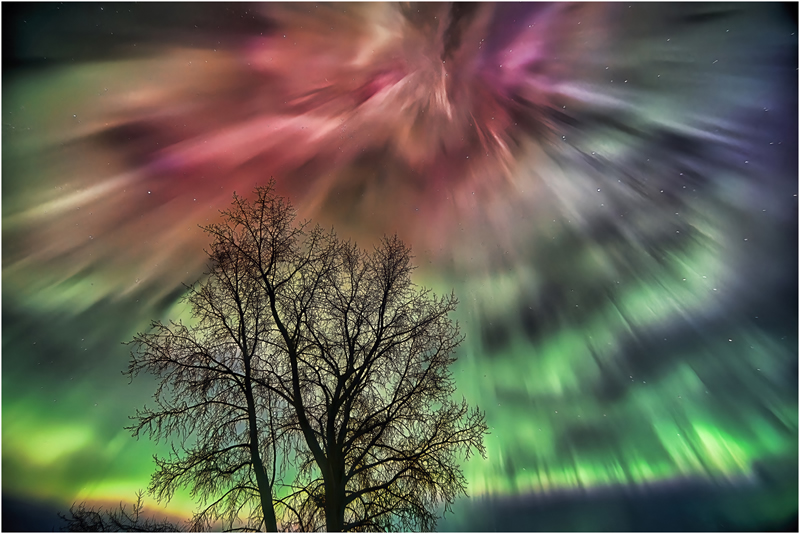 Explosion by Marlene Smith